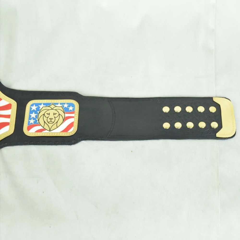 United States Championship Belt - Image 3